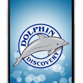 Other: Dolphin Discovery